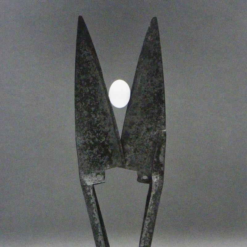 Fragiliteit van het leven