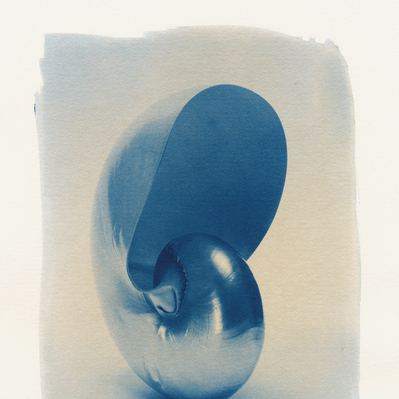 Cyanotype