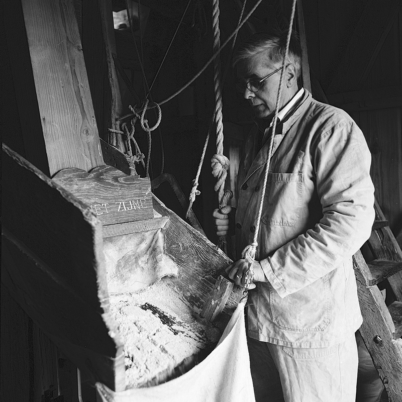 Victor Theeuwes