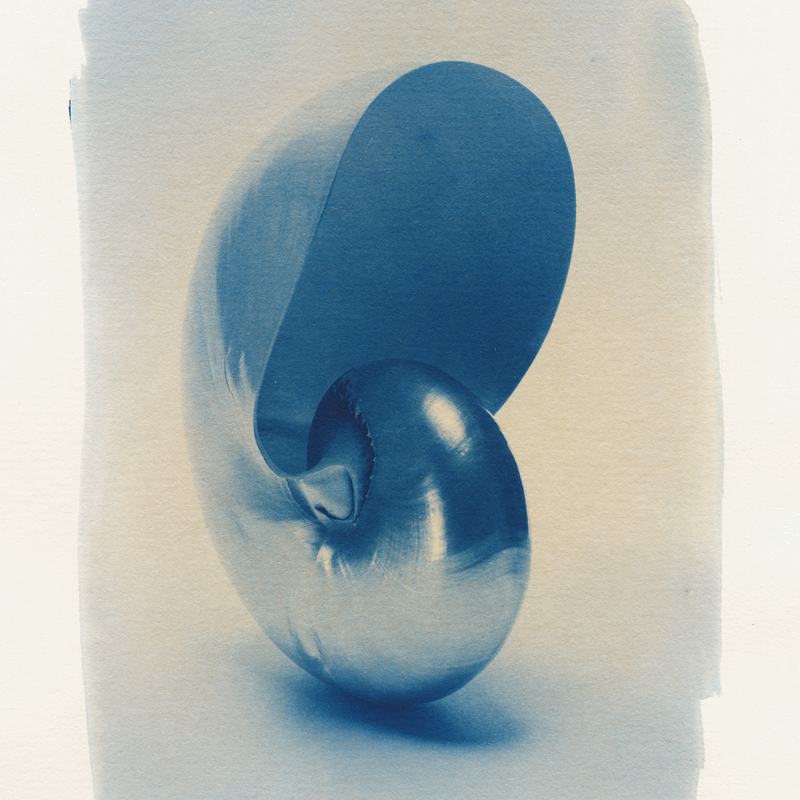 Cyanotype